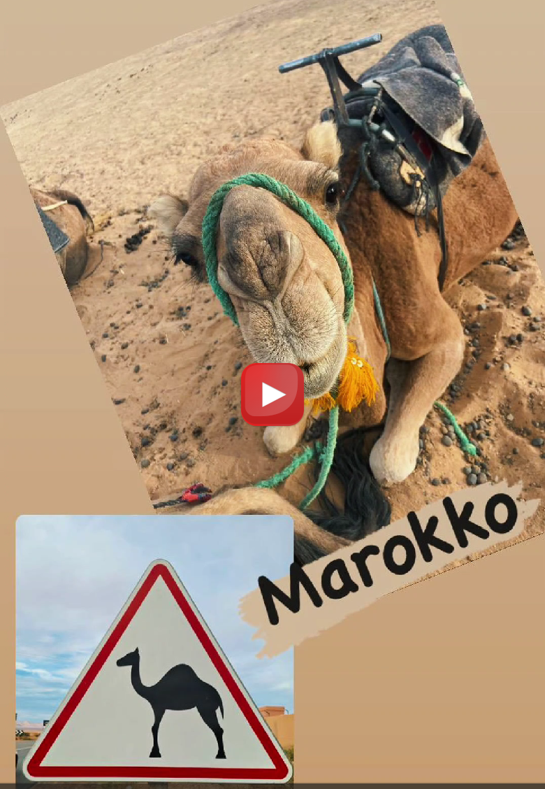 marokko.png